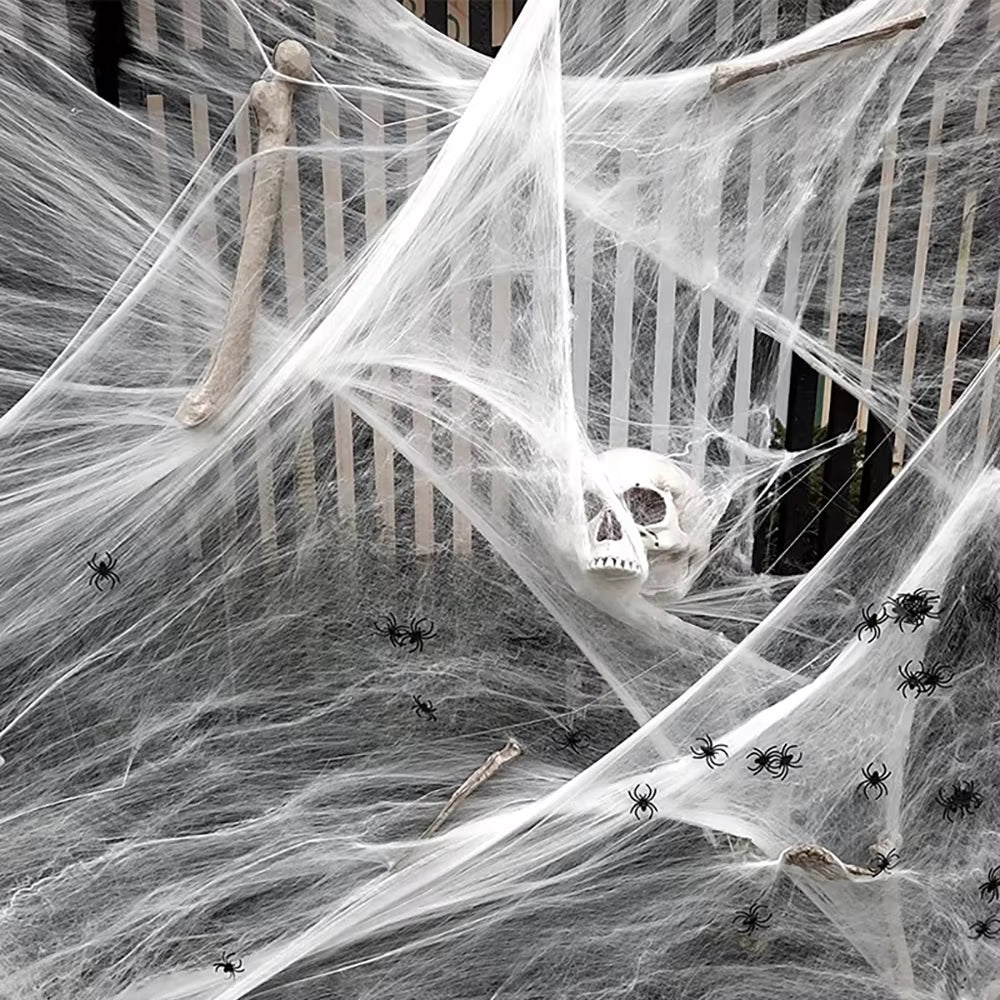 Stretch Spider Web + Spiders