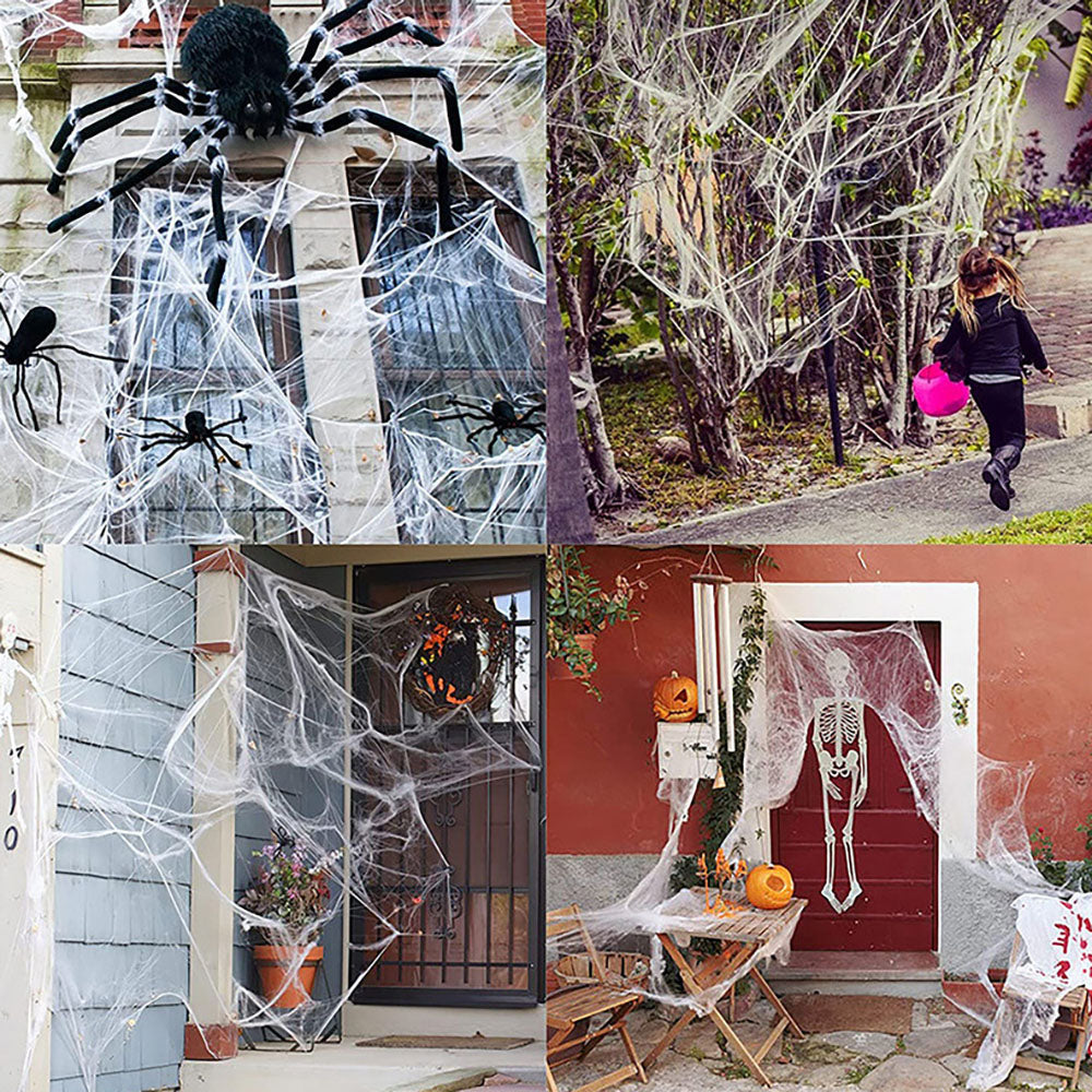 Stretch Spider Web + Spiders